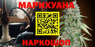 ПСИЛОЦИБИНОВЫЕ ГРИБЫ Кандалакша